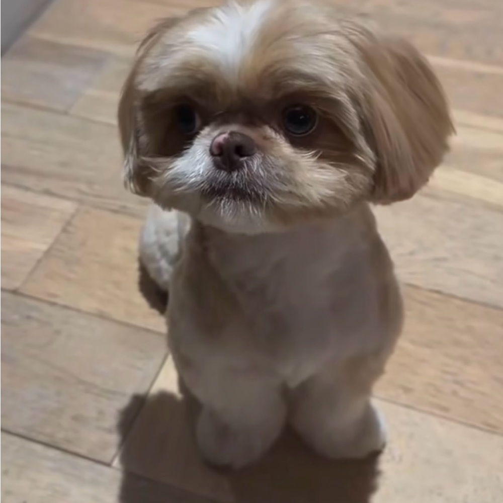 Meet your Posher, Megan